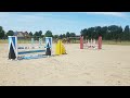 حصان القفز (NEW VIDEO!) Talentvol springpaard (Grand Slam x Indoctro)