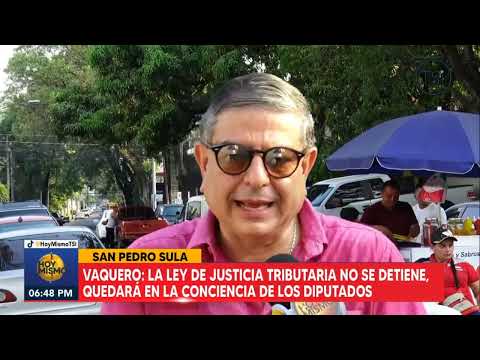 Vaquero: la ley de justicia tributaria no se detiene, quedará en la conciencia de los diputados