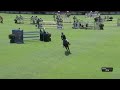Show jumping horse Getalenteerd veulen uit 1.40m. moeder!