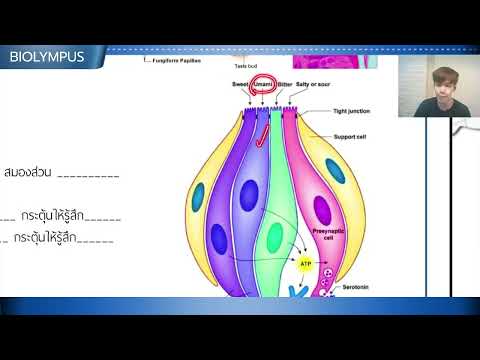 ติวฟรีชีวะสอวนPOSNศึกนี้ต้อง