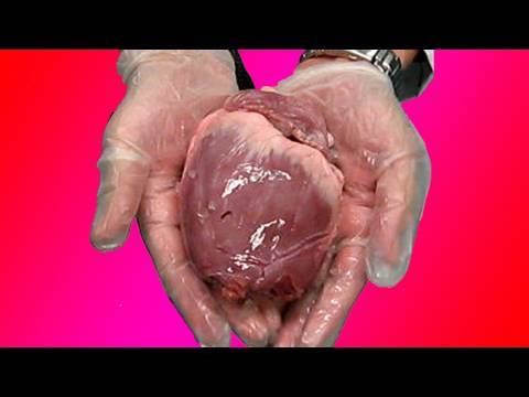 Video: Pamoka, kaip sudaužyt širdį, - Moksliškai