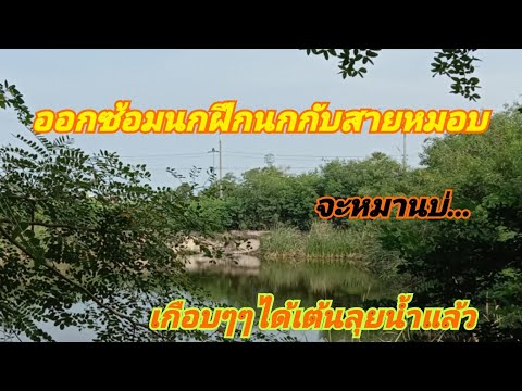 ออกซ้อมนกฝึกนกกับจารอันสายหมอบ ออกซ้อมนกฝึกนกกับจารอันสายหมอบ