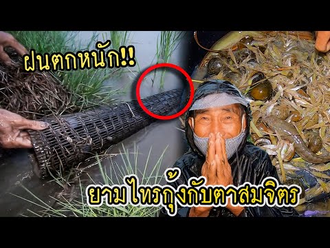 ฝนตกหนัก!!-ตาสมจิตรพาลุย!!-พ่อ ฝนตกหนัก!!-ตาสมจิตรพาลุย!!-พ่อ