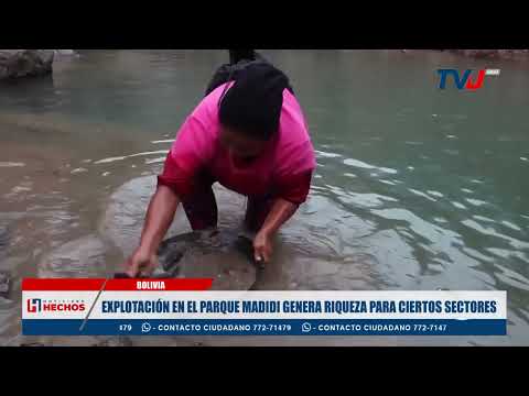 EXPLOTACIÓN EN EL PARQUE MADIDI GENERA RIQUEZA PARA CIERTOS SECTORES