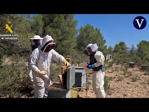 Investigan a 11 personas por comercializar más de 40 toneladas de miel contaminada de China