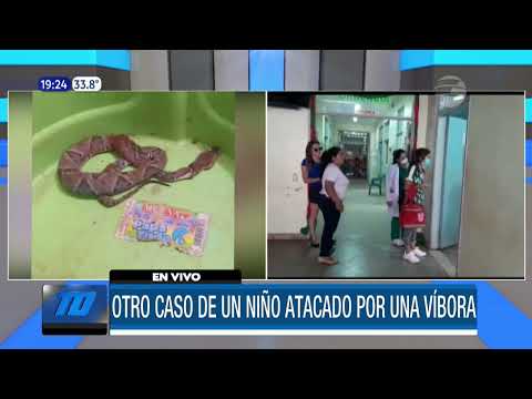 Otro niño de 3 años fue mordido por una serpiente