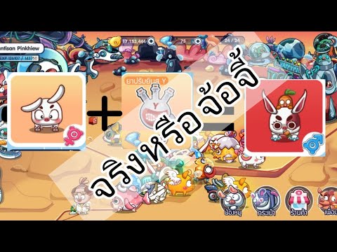 happy-hog-|-แม่หมูเจน2-+-น้ำยา happy-hog-|-แม่หมูเจน2-+-น้ำยา