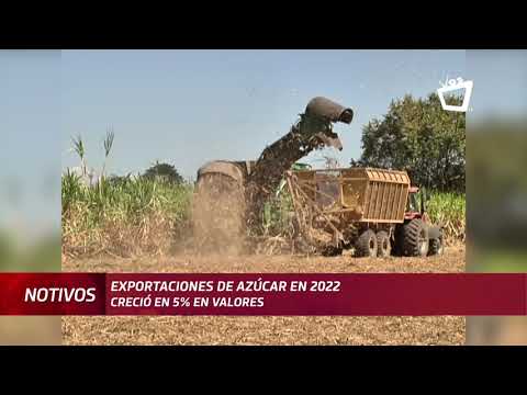 Sector azucarero creció 8% en volumen de exportación en 2022