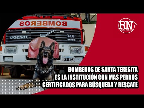 Bomberos Santa Teresita es la institución que tiene más perros certificados en en búsqueda y rescate