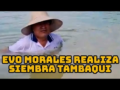 EVO MORALES CONTINUA SEMBRANDO TAMBAQUI EN SU CHACO DE SAN FRANCISCO..