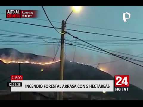 Cusco: Al menos cinco hectáreas arrasadas por incendio forestal