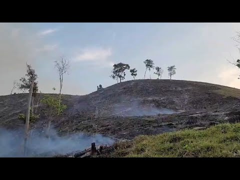 Emergencia ambiental por incendios forestales - Teleantioquia Noticias