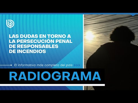 Las dudas en torno a la persecución penal de responsables de incendios