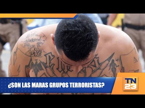 ¿Son las Maras grupos terroristas?