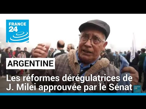 Argentine : le Sénat donne son aval pour déréguler l'économie • FRANCE 24