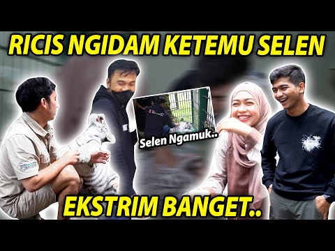 RICIS NGIDAM KETEMU SELEN.. EKSTRIM BANGET..