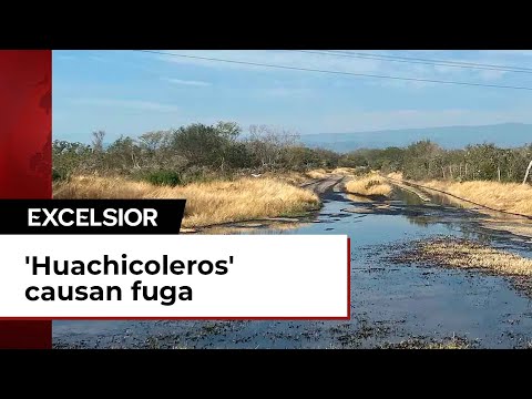 'Huachicoleros' causan fuga al hacer toma clandestina en Tamaulipas