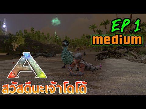 ArkMobileMedium|จุดเริ่มต้