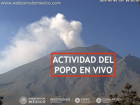 #POPOCATÉPETL | Gases y vapor de agua al por mayor. El #Volcán #EnVivo