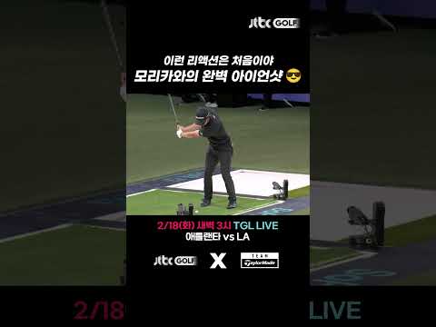 콜린 모리카와 발차기 리액션ㅋㅋ 