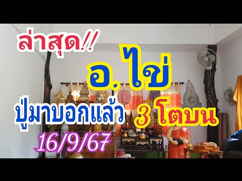 คนมีโชค ชาลแนล ปู่มาบอกแล้ว!!3โตบนอ.ไข่ล่าสุด16ก.ย.67