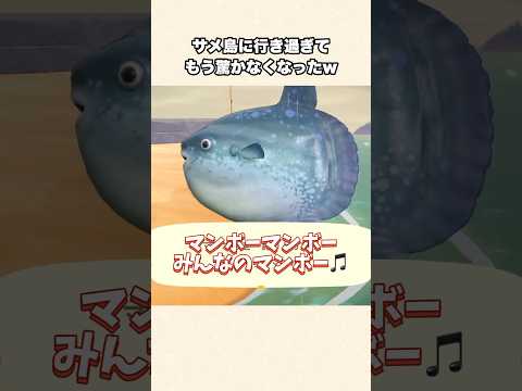 【あつ森】激レアサメ島に行き過ぎ問題発生！鮫大量ゲットだけどもう驚きませんw【あつまれどうぶつの森】#shorts #あつ森
