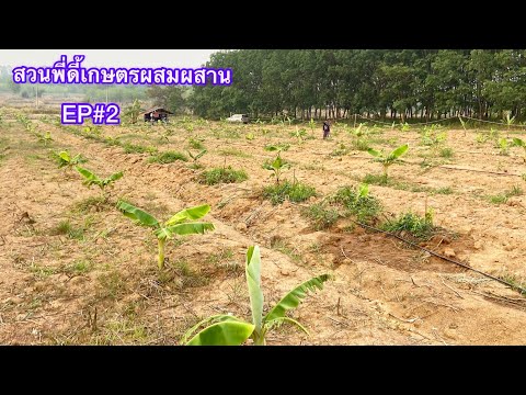 สวนผสมผสานEP2วางแผนชีวิตอยู่