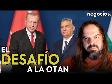 El desafío de Hungría y Turquía: Hay miembros OTAN que no buscan hostilidad con Rusia. Armesilla