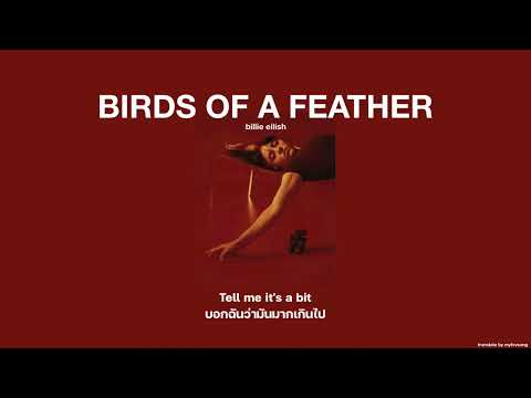 (THAISUB|แปลไทย)BIRDSOFA