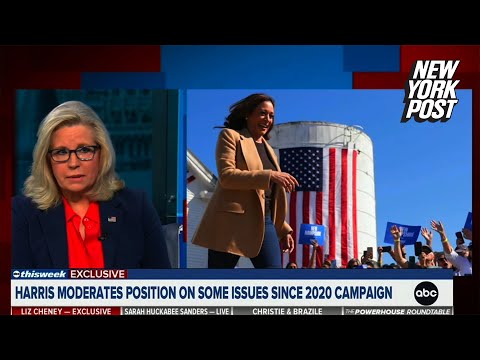 Liz Cheney praises Kamala Harris for Dem convention speech she says ‘Reagan could have given’