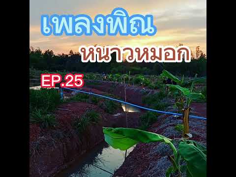 เพลงพิณหนาวหมอก(EP.25)