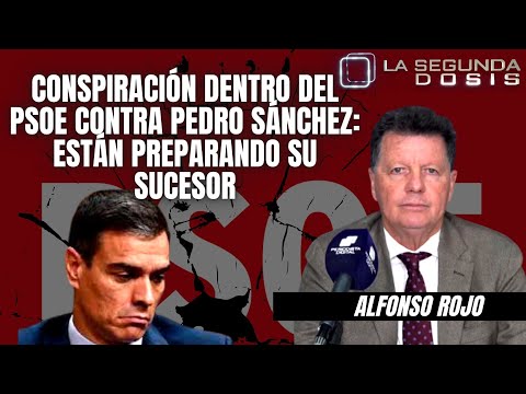 Conspiración dentro del PSOE contra Pedro Sánchez: Están preparando su sucesor