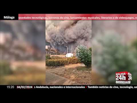 Noticia - Ascienden a 51 los fallecidos por los incendios forestales en Chile