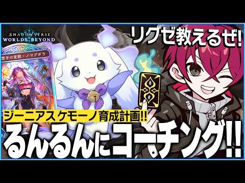 [Shadowverse]ちょま、竜になる（コーチング配信）