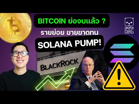 (ข่าวคริปโต)รายย่อยแห่ขายBIT