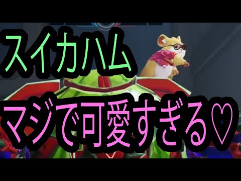 新スキンのスイカハムマジで可愛すぎるぞ！！！【レッキングボール】【オーバーウォッチ2】