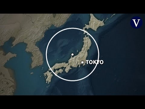 Alerta de tsunami en Japón tras terremoto de magnitud 7,4