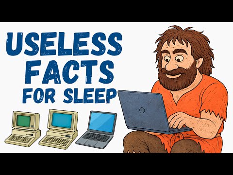 The Computer — The Smartest Object That Still Need | Useless Facts For Sleep