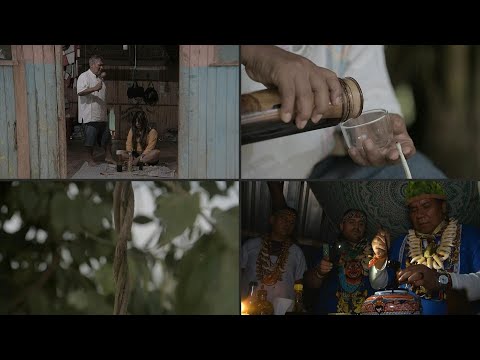 Indígenas sudamericanos presos en México por ayahuasca | AFP