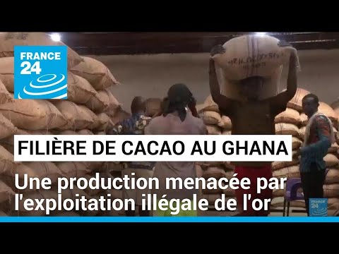 Filière du cacao : Le Ghana traverse une crise de production, les prix explosent • FRANCE 24