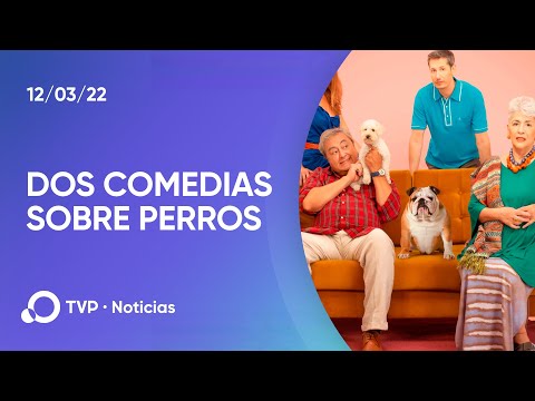 Dos comedias teatrales, a cara de perro