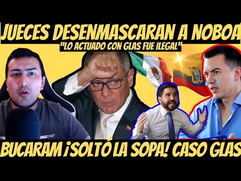 Daniel Noboa ¡Se le cae el circo! Jueces confirman ilegalidad con Jorge Glas en embajada Mexicana