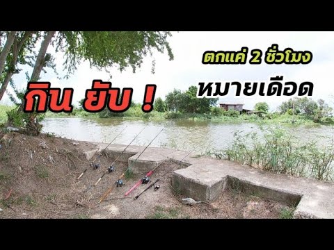 ถล่มฝูงปลานิลตะเพียน2ชั่วโม