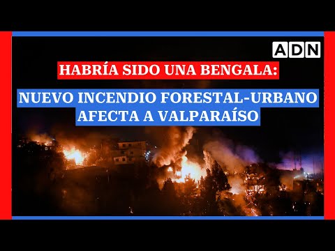 Habría sido una bengala: Nuevo incendio forestal-urbano afecta a la Región de Valparaíso