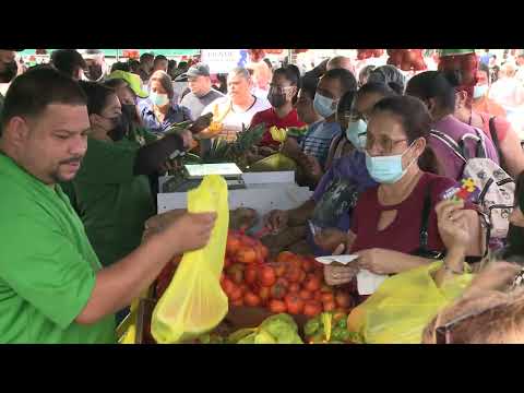 Concurrida celebracion de Mercado Agrícola Familiar en San Juan