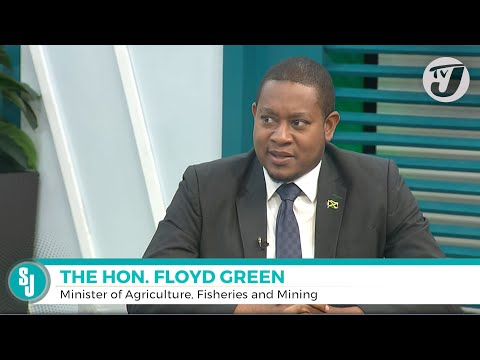 Impact of Hurricane Beryl on the Agriculture Sector | TVJ Smile Jamaica