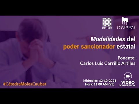 Modalidades del poder sancionador estatal