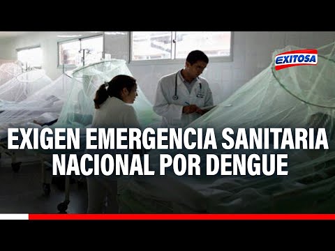 Incremento de casos de dengue: Exigen que Minsa declare emergencia sanitaria a nivel nacional