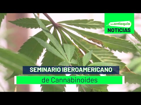 Seminario Iberoamericano de Cannabinoides - Teleantioquia Noticias