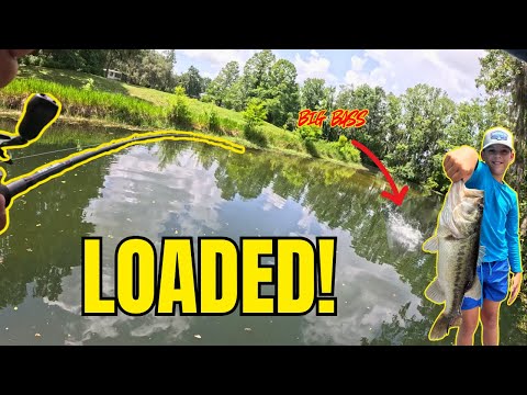 YouTube video thumbnail